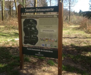 Découverte de la forêt de Chabrières