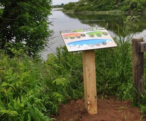 L'anse et la vallée du Guillec