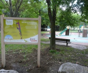 Gestion des espaces verts de Toulouse