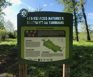 Richesse écologique des étangs de Narbonne