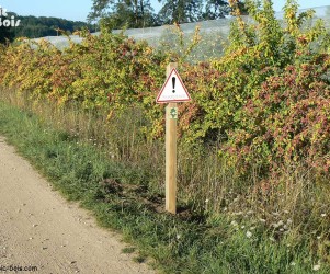 Les arbres fruitiers du CC de Loire Authion