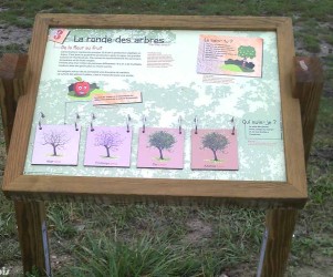 Les arbres fruitiers du CC de Loire Authion