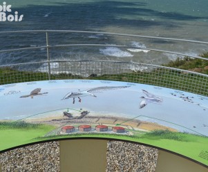 Observation du paysage d'Octeville-sur-Mer