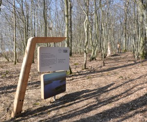 Sentier autour du lac de Madine
