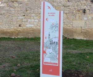 La biodiversité de Nevers et la Loire