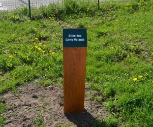Réaménagement du parc naturel de l'Estran