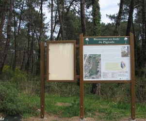 Parcours de découverte en forêt du Pignada