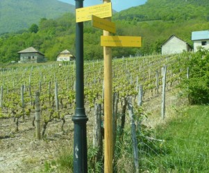 Site ludique du vignoble de Combes de Savoie