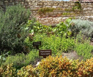 Jardin botanique de Pernes les Fontaines