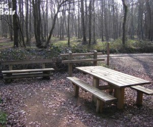 Accessibilité de la Forêt de Pléguien