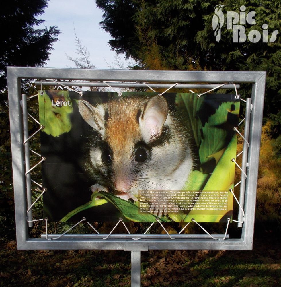 Signalétique de randonnée pédestre | Panneau d'information - Sur les pas de Madeleine - 15 Chalvignac