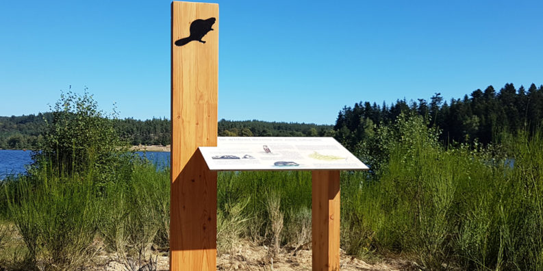 Des mobiliers originaux qui se fondent au paysage.