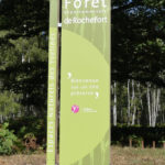 Totem – Forêt départementale
