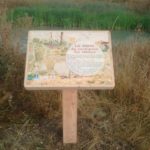 Table de lecture – Illustration Mare