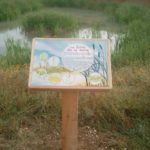 Table de lecture – Site naturel