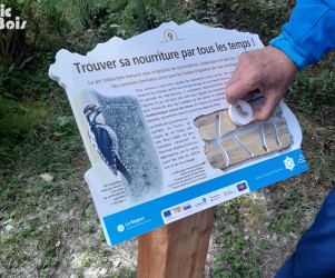 Signalétique touristique - Mobilier interactif - Jeu du chemin Pic - Fabrication PIC BOIS