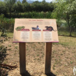 Plaque thématique – Les animaux