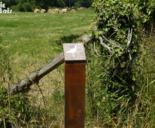 PIC BOIS - Balise support en acier Po16 - Marais de Rouellé (61)