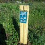 Plaque arboretum – Thématique arboretum