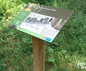 PIC BOIS - Table de lecture en bois PCE pied central - Sentier des Plos (11)