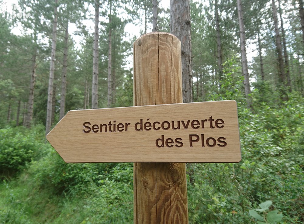 PIC BOIS - Flèche directionnelle en compact gravé - Sentier des Plos Greffeil (11)
