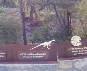 PIC BOIS - Frise chronologique - Dalle aux ammonites - Digne les Bains (04)