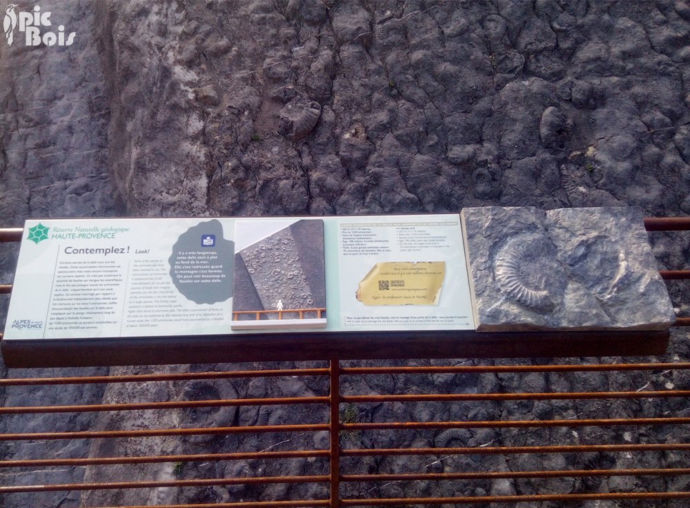 PIC BOIS - Table de lecture sur barrière - Dalle aux ammonites - Digne-les-Bains (04)
