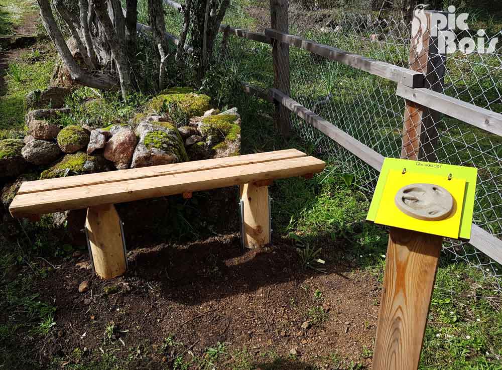 PIC BOIS - Banc et empreinte en résine sur volet à soulever - Etang de Tanchiccia (20)