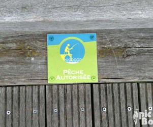 PIC BOIS - Plaque d'information pêche autorisée - Cité Jardins Le Plessis Robinson (92)