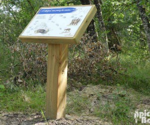 PIC BOIS - Table de lecture - Réserve de Malzoné (41)