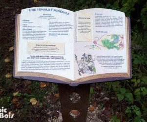 Table de lecture – Nuits St Gorges (21) PIC BOIS - Table de lecture - Nuits St Gorges (21)