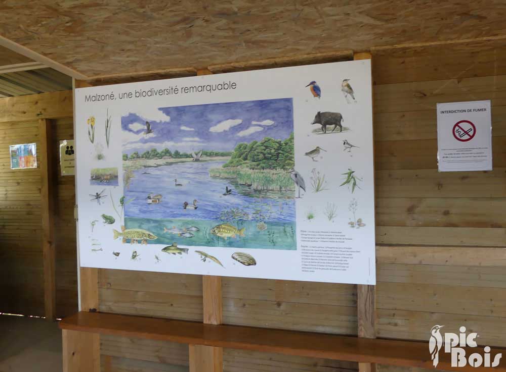 PIC BOIS - Panneau thématique mural sur la biodiversité - Réserve de Malzoné (41)