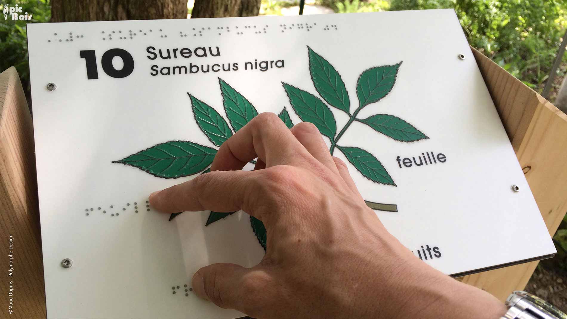 PIC BOIS - Aménagements accessibles lecture du Braille sur panneau