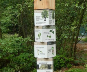 Signalétique touristique | Mobilier interactif - BQR arbre