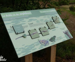 Signalétique touristique | Table de lecture sur les amphibiens