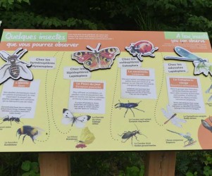 Signalétique touristique | Table de lecture sur les insectes