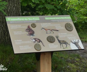 Mammifères-et-traces-en-résine Signalétique touristique | Table de lecture mammifères des Bois-Francs
