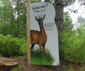 Biodiversité autour du lac de Center Parcs
