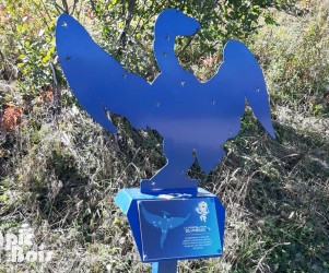 Signalétique touristique | Constellation du Phénix