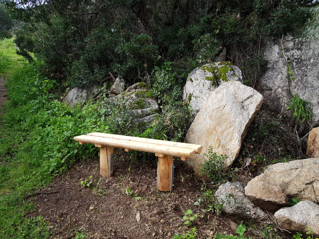 PIC BOIS - Banc Furca - Etang de Tanchiccia (20)