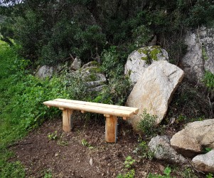 PIC BOIS - Banc Furca - Etang de Tanchiccia (20)