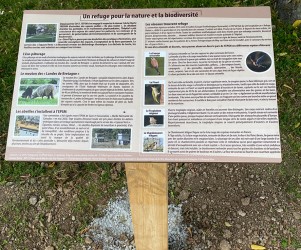 Table de lecture refuge nature Parcours des 10 000 pas