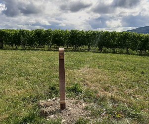 Signalétique touristique | Balisage du sentier des vignes avec macaron gravé