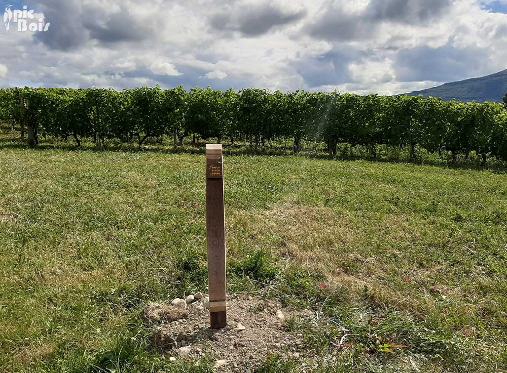 Signalétique touristique | Balisage du sentier des vignes avec macaron gravé