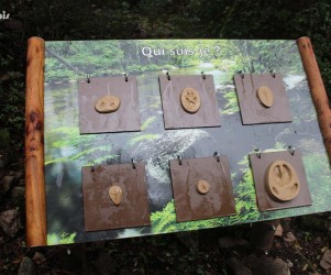 Parcours découverte - La forêt enchantée