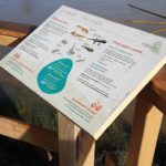 Table de lecture – La mare