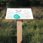 Table de lecture – Les papillons