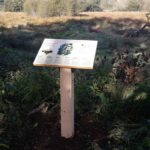 Table de lecture – Zones humides