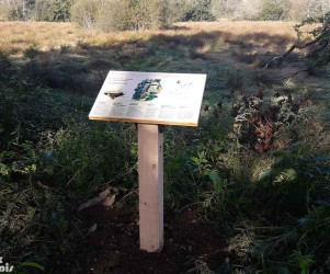 Signalétique touristique | Table de lecture - Les zones humides - Fondation Yves Rocher