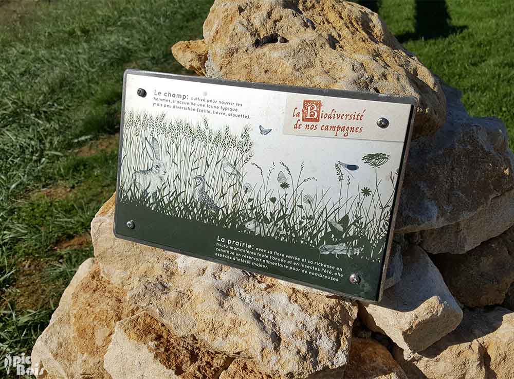 Signalétique touristique | Table de lecture - Biodiversité campagne - Marais de Droitaumont
